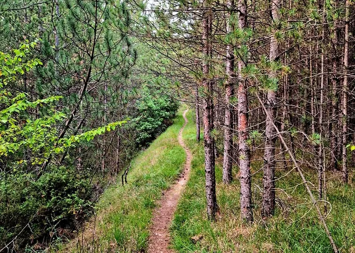 Appartement Casa Adelina By Tramonti